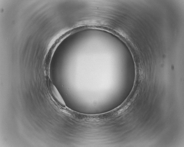 X0000052941070200507221141