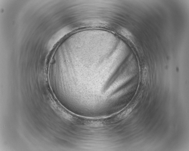 X0000052941071200507221141
