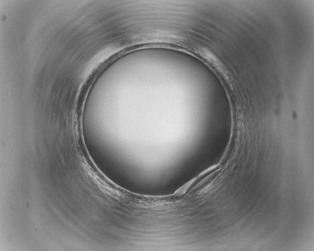 X0000052941072200507221141