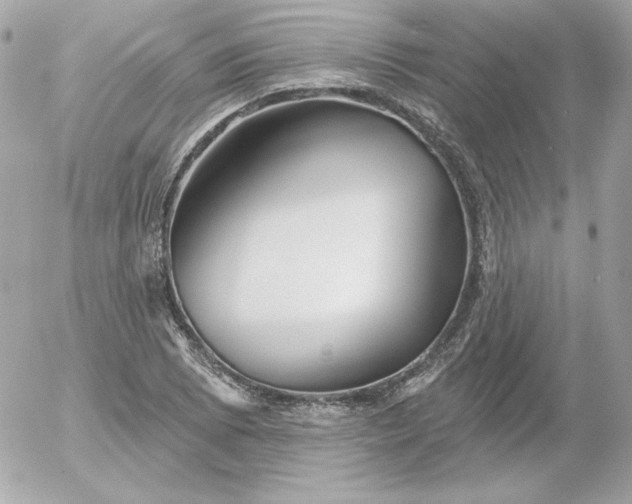 X0000052941073200507221141