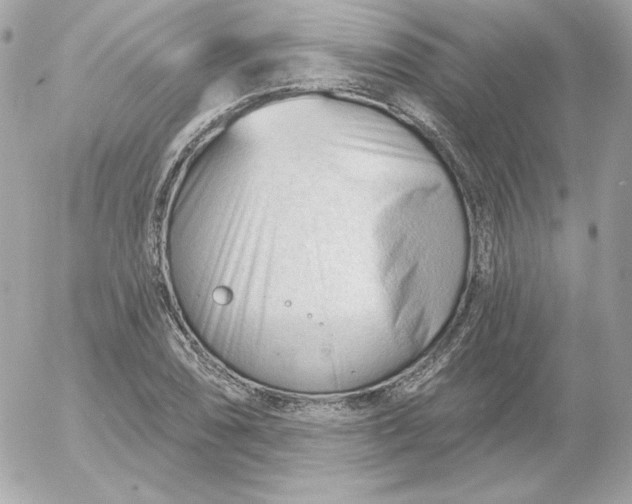 X0000052941074200507221141