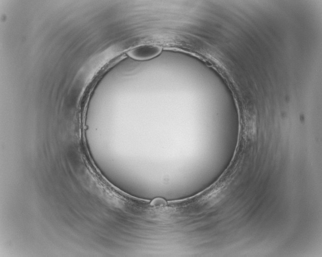 X0000052941075200507221141