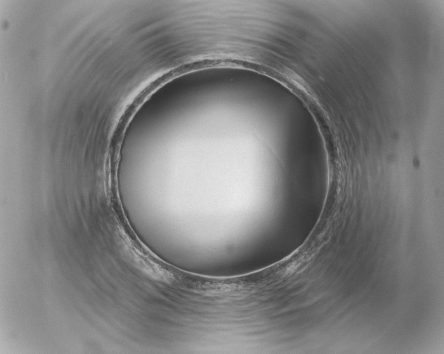 X0000052941076200507221141