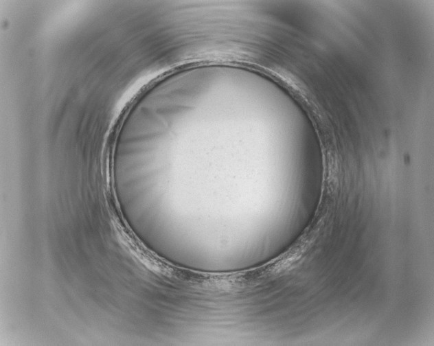 X0000052941078200507221140