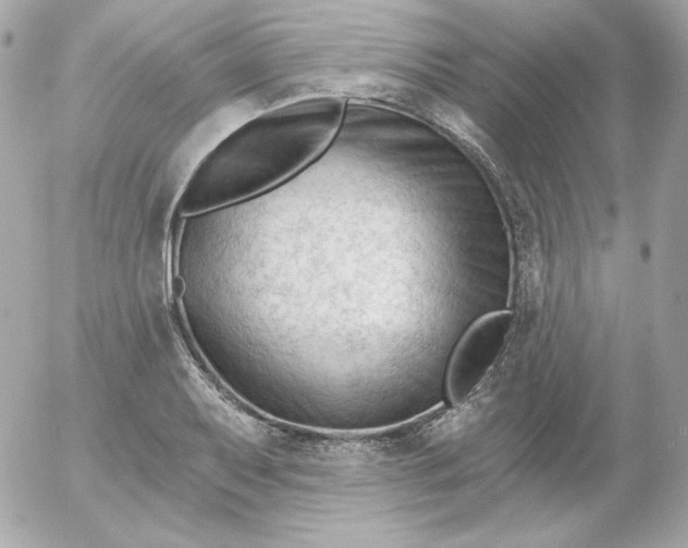 X0000052941079200507221140