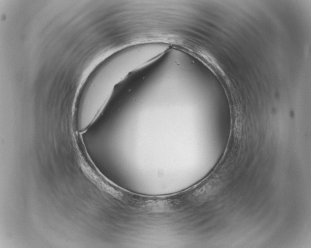 X0000052941080200507221140