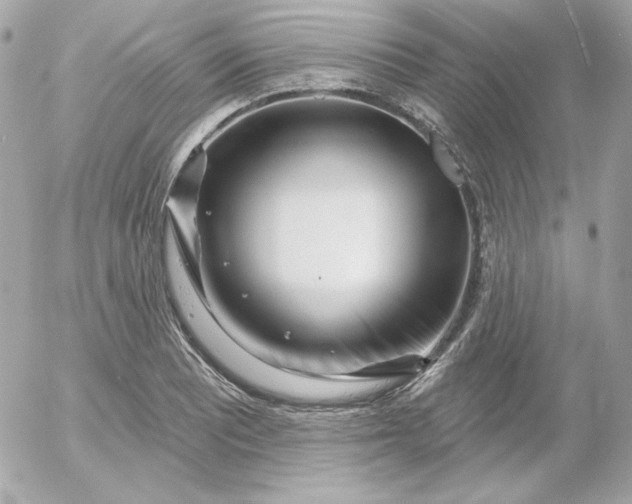 X0000052941081200507221140