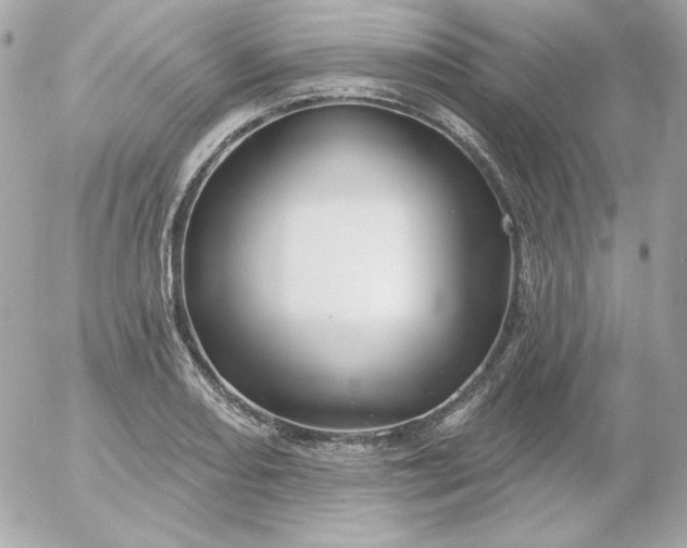 X0000052941082200507221140