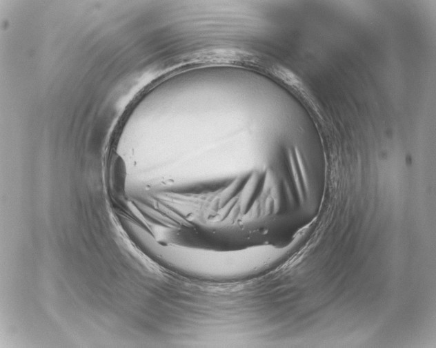 X0000052941083200507221140