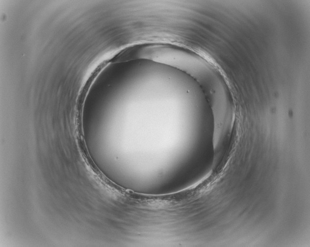 X0000052941085200507221140