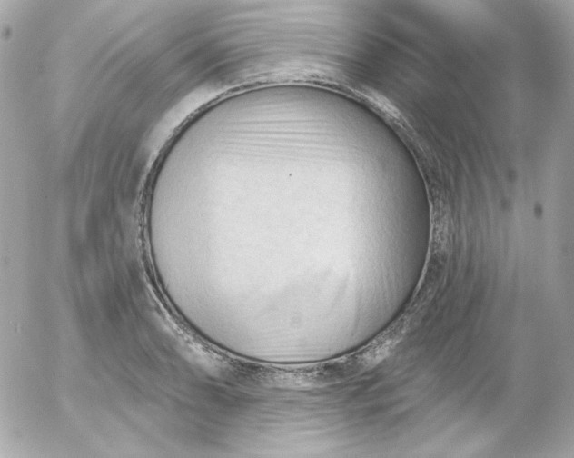 X0000052941086200507221140