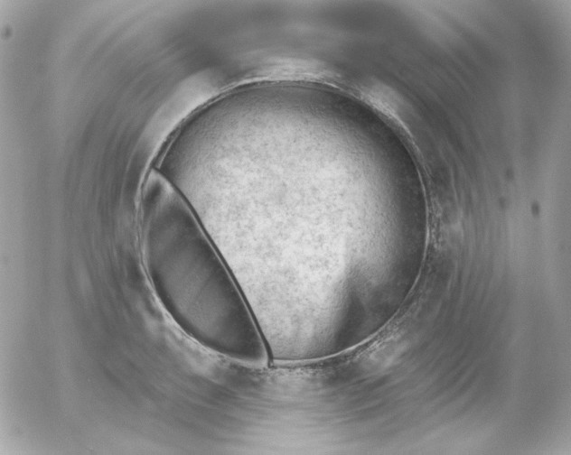X0000052941087200507221140