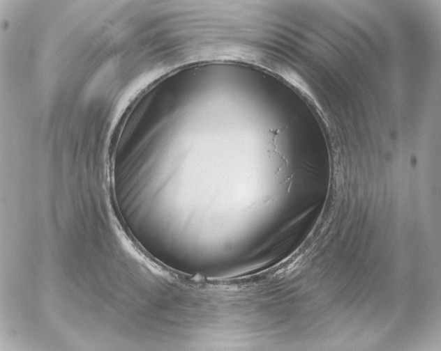 X0000052941088200507221140