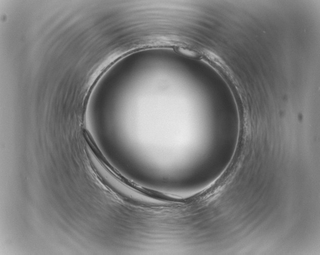 X0000052941089200507221140