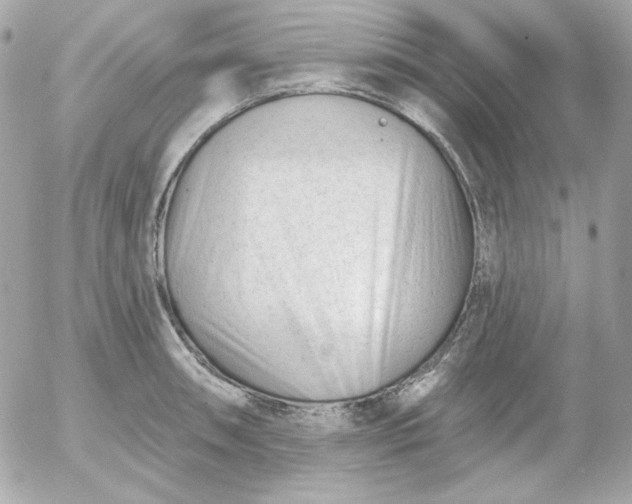 X0000052941090200507221140