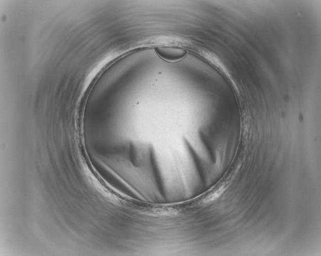 X0000052941091200507221140