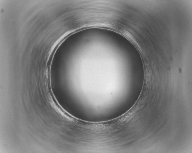 X0000052941092200507221140