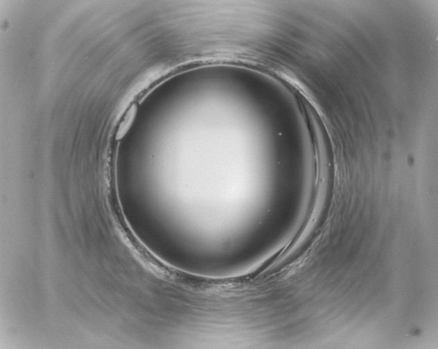 X0000052941093200507221140