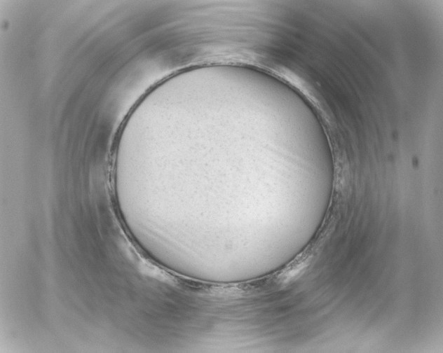 X0000052941094200507221140