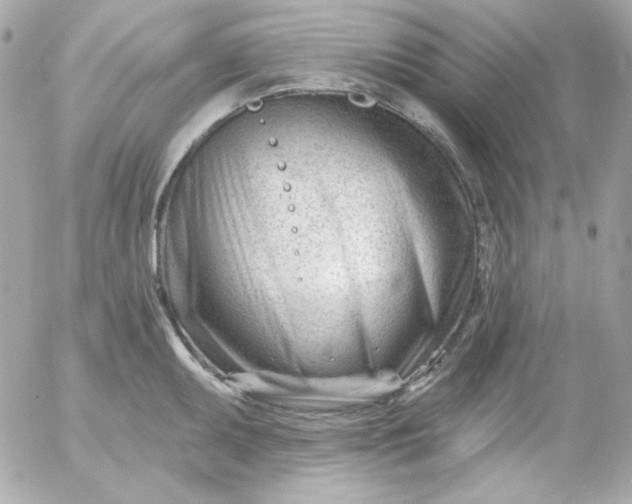 X0000052941095200507221140