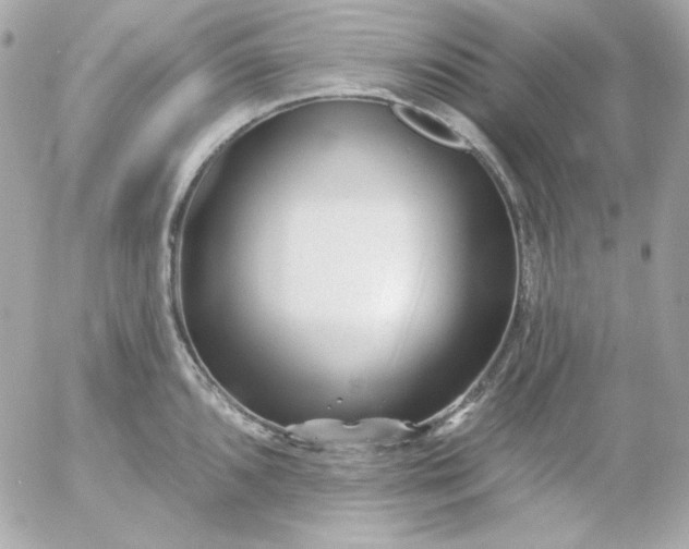 X0000052941096200507221140