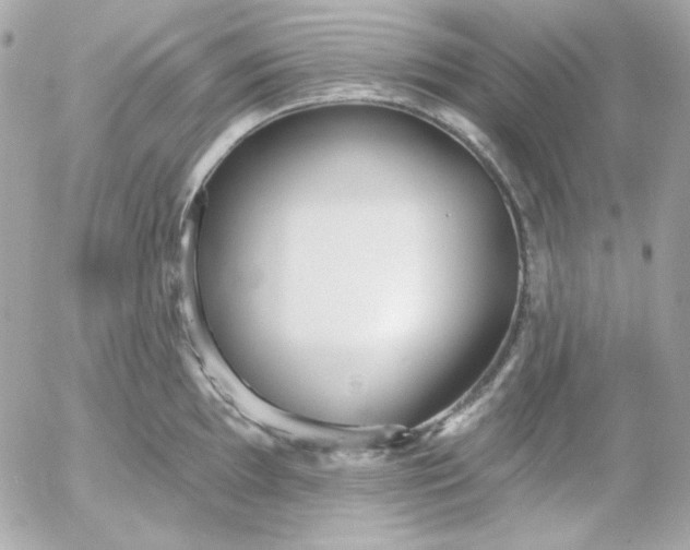 X0000052941097200507221140