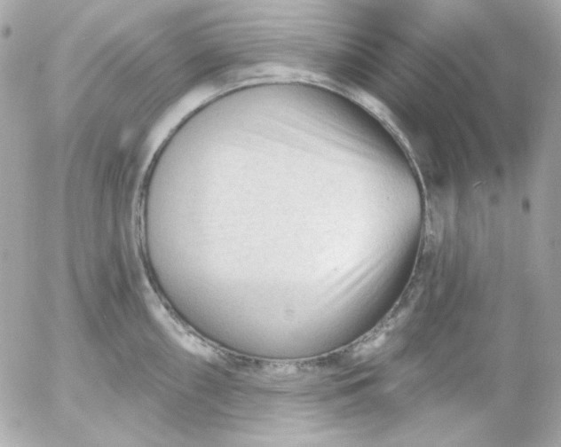 X0000052941098200507221140