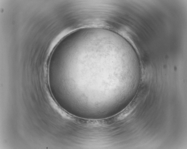 X0000052941099200507221140