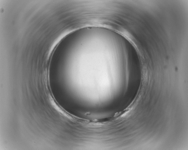 X0000052941100200507221140