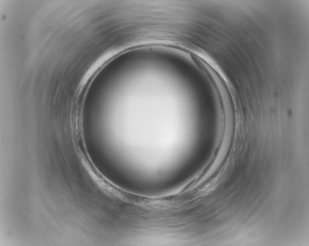 X0000052941101200507221140