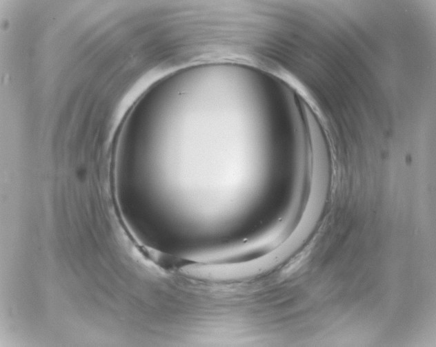 X0000052941102200507221140