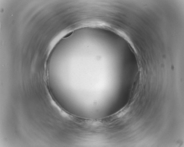 X0000052941103200507221140