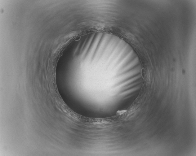 X0000052941105200507221139