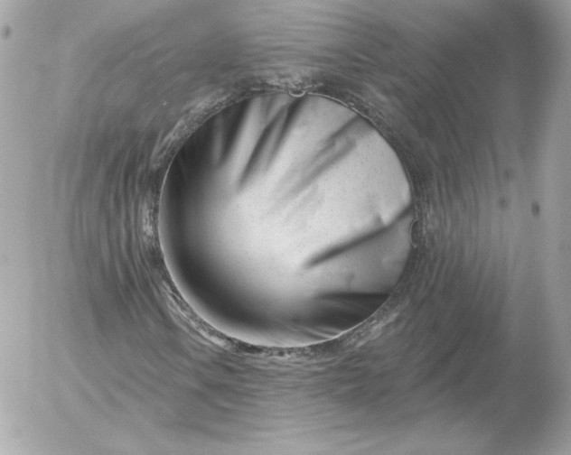 X0000052941106200507221139