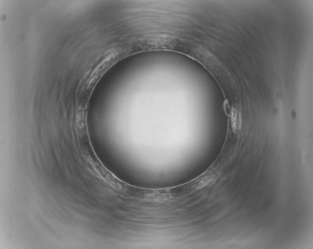 X0000052941107200507221139