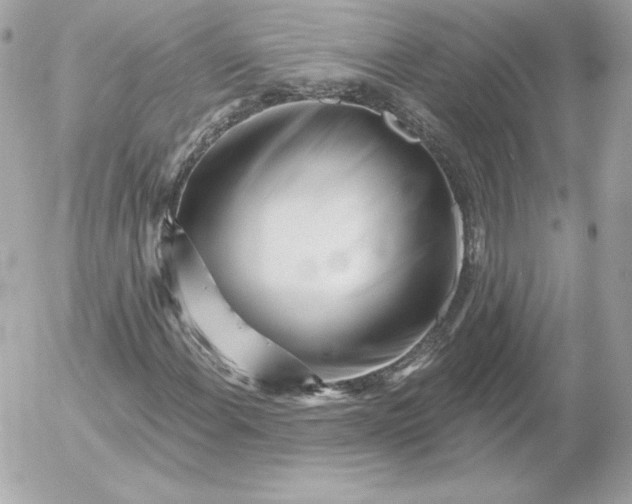 X0000052941108200507221139