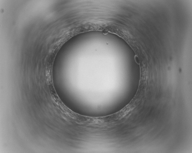 X0000052941109200507221139