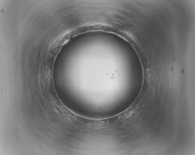 X0000052941111200507221139