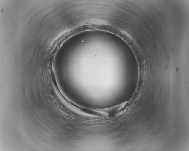 X0000052941112200507221139