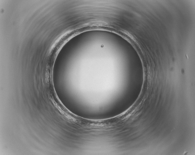 X0000052941115200507221139