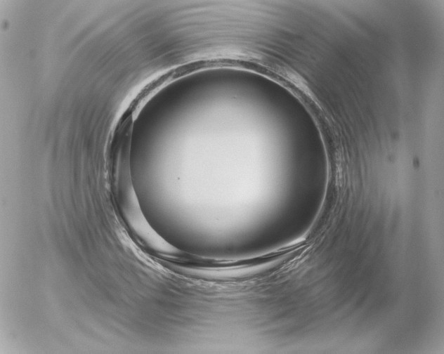 X0000052941116200507221139