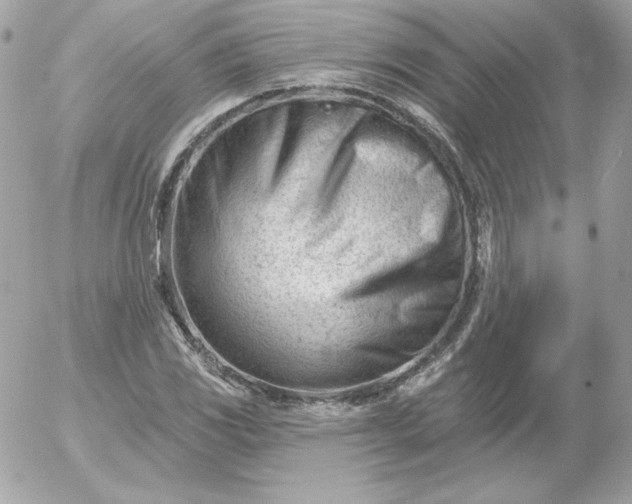 X0000052941117200507221139