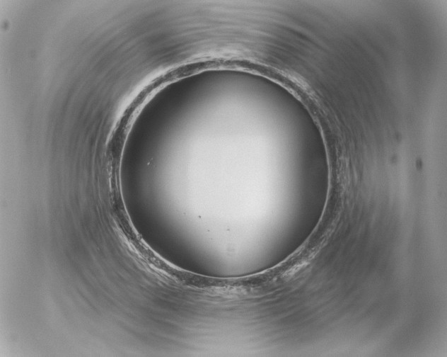 X0000052941118200507221140