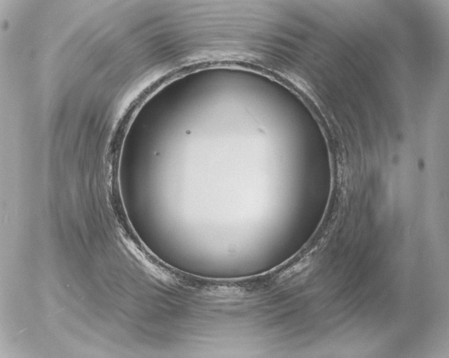 X0000052941119200507221140