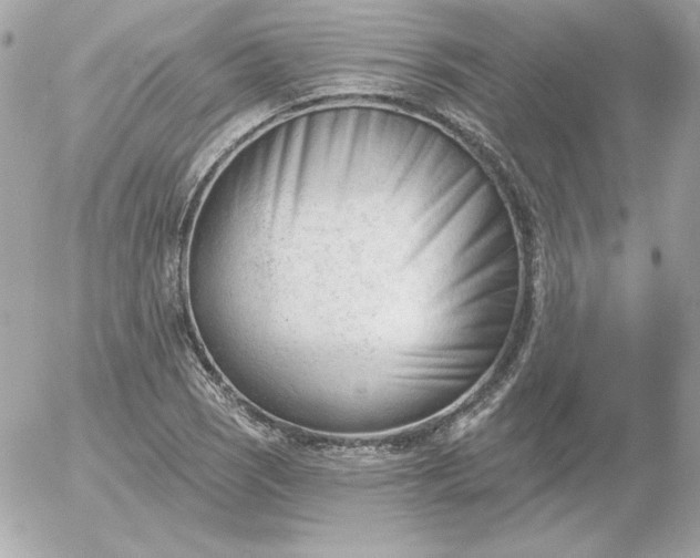 X0000052941121200507221140