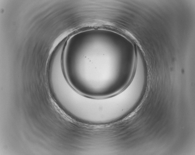 X0000052941122200507221140