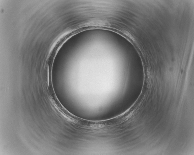 X0000052941123200507221140