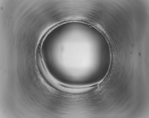 X0000052941124200507221140