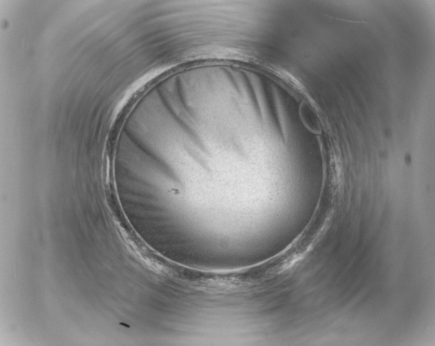 X0000052941125200507221140