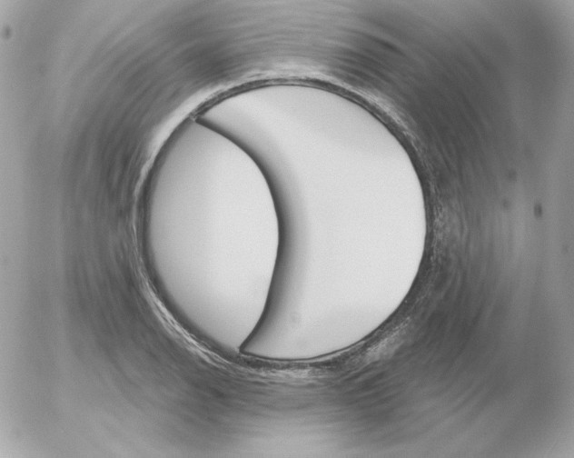 X0000052941126200507221140